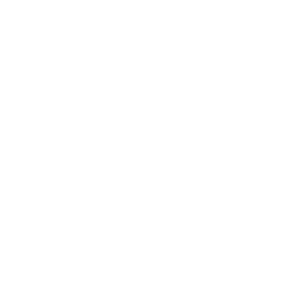 Feature 4